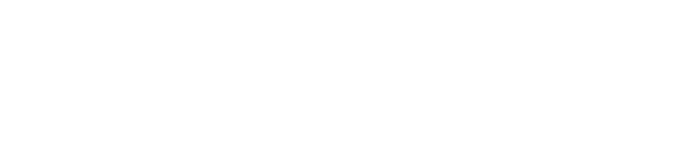 Pessini Group